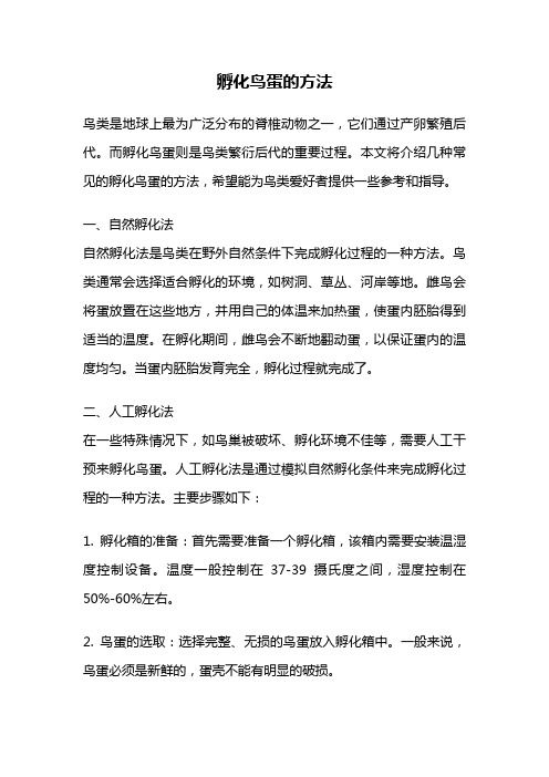 孵化鸟蛋的方法