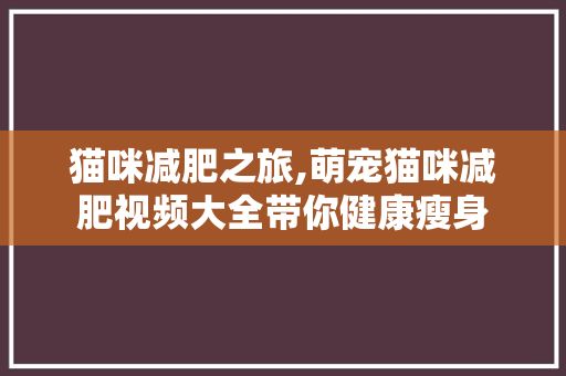 猫咪减肥之旅,萌宠猫咪减肥视频大全带你健康瘦身