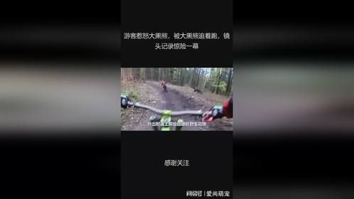 游客惹怒大黑熊，被大黑熊追着跑，镜头记录惊险一幕