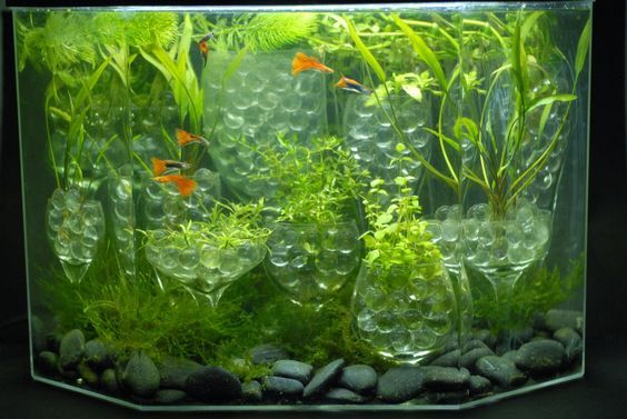 水族馆玻璃弹珠
