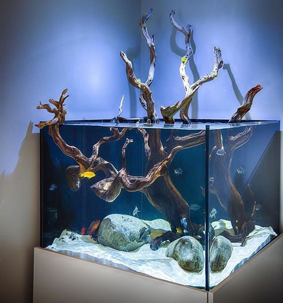 水族馆木材