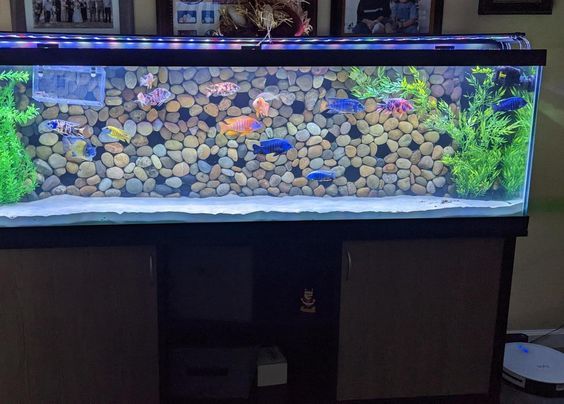 水族馆背景