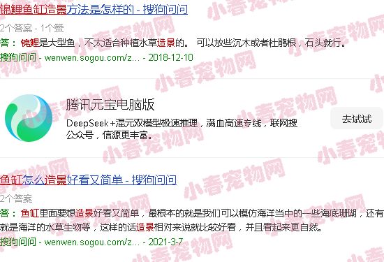 锦鲤鱼缸造景图片大全