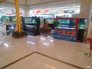 水族店鱼缸设计方案_水族店布局