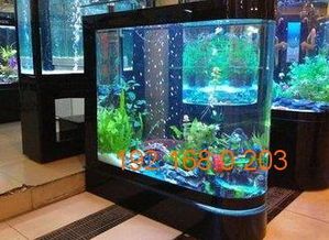 水族店鱼缸设计方案_水族店布局