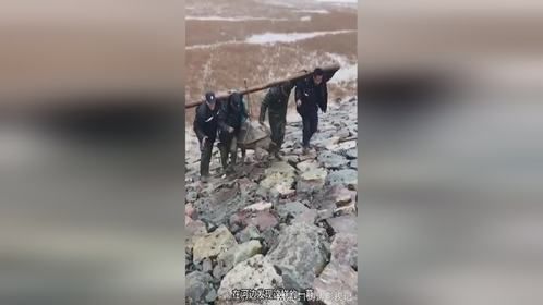 有灵性的老鳖，太不可思议了
