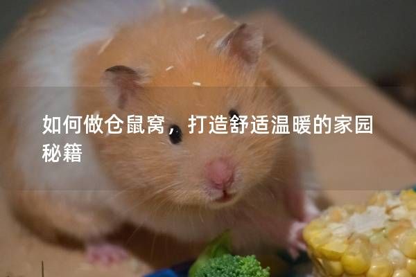 如何做仓鼠窝，打造舒适温暖的家园秘籍