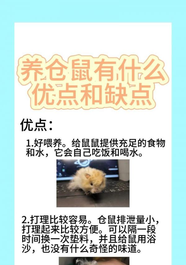 仓鼠寿命之谜（探寻仓鼠寿命短暂的原因与解决方法）