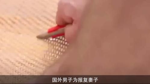 盘点最有趣的报复行为