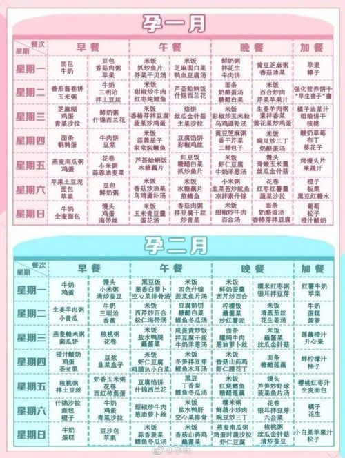 孕期猫忌食清单,安全饮食指南。
