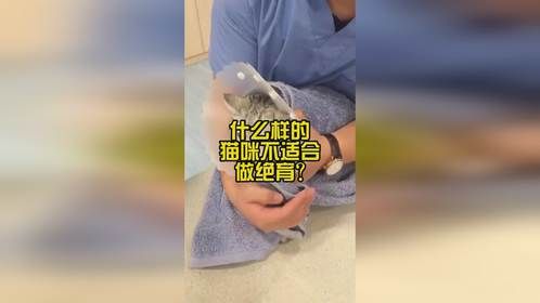什么样的猫咪不适合做绝育？