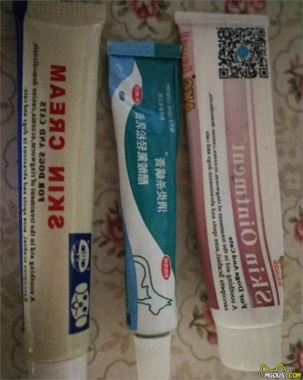 刚抱回家的狗狗如何养？给新饲养主的一些养狗建议