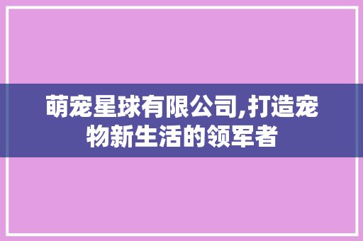 萌宠星球有限公司,打造宠物新生活的领军者