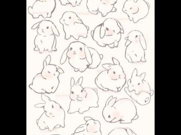 宠物简笔画一