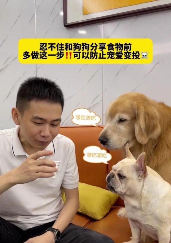 狗狗胃胀气的饮食调理方案（解决狗狗胃胀气问题的饮食方法及注意事项）