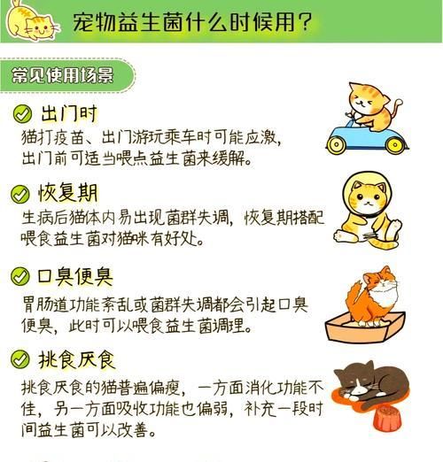 狗益生菌如何帮助肠胃调理？换粮时应如何使用？
