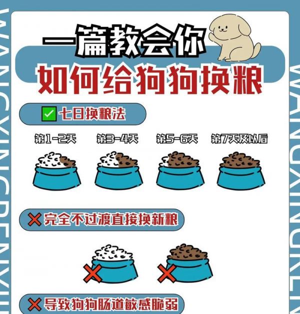 狗益生菌如何帮助肠胃调理？换粮时应如何使用？