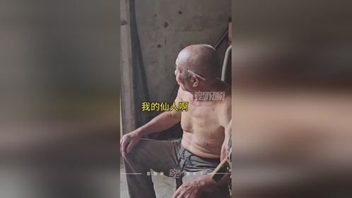 一人高大蛇出没，消防员徒手拽蛇太生猛，惊得大爷直喊“仙人”！