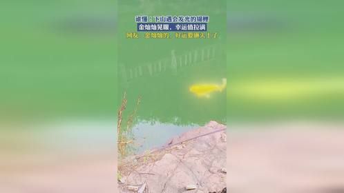 谁懂！下山遇会发光的锦鲤，金灿灿晃眼，幸运值拉满！