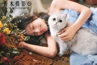 “萌宠穿黄衣,萌态十足!#宠物穿搭#”