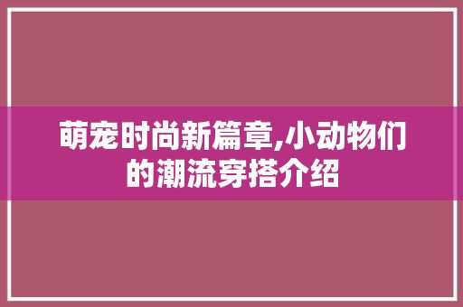 萌宠时尚新篇章,小动物们的潮流穿搭介绍
