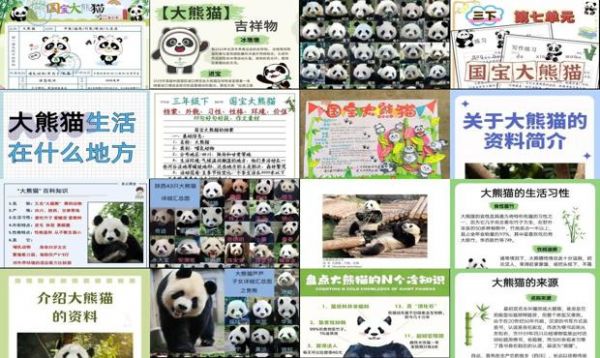 国宝大熊猫资料收集