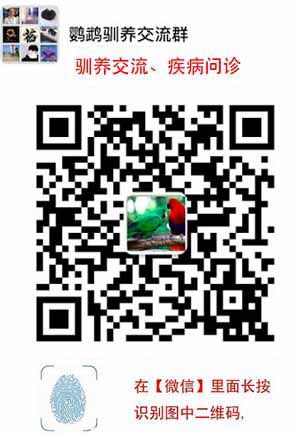 鹦鹉学舌的意义是什么？