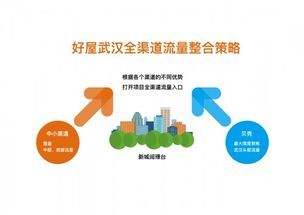 宠物术后：思维与行为新转变