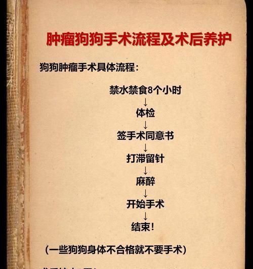 狗狗手术后如何进行家庭护理？需要注意什么？