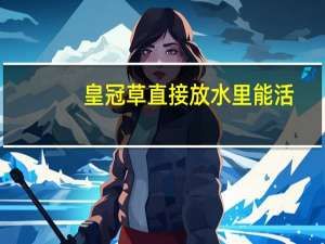 皇冠草直接放水里能活