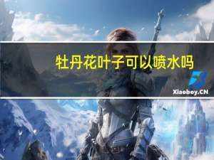 牡丹花叶子可以喷水吗