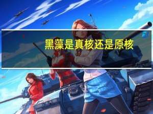 黑藻是真核还是原核