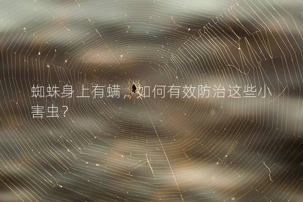 蜘蛛身上有螨，如何有效防治这些小害虫？