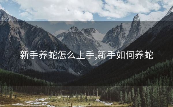 新手养蛇怎么上手,新手如何养蛇