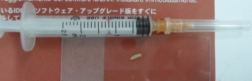 一例幼犬严重绦虫感染的病例分析