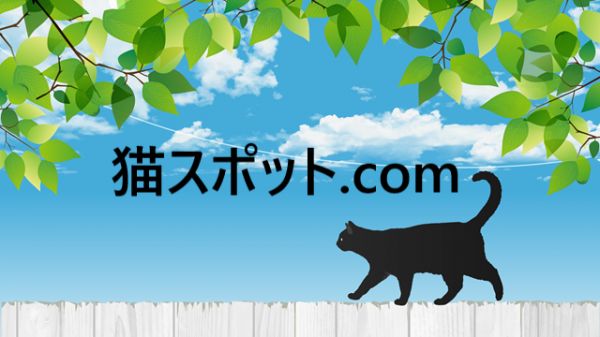 猫现货.com