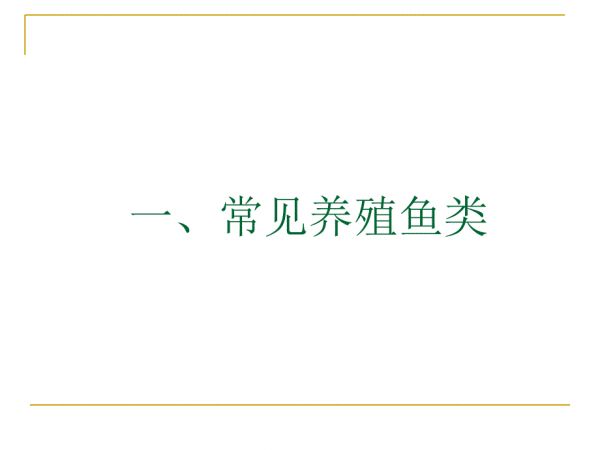 常见养殖鱼类图片.ppt_第1页