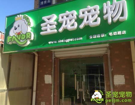 圣宠宠物庆贺毛纺路店开业促销优惠活动