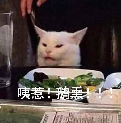 疯了！素食主义女朋友逼我扔掉我的猫，竟是因为它吃肉