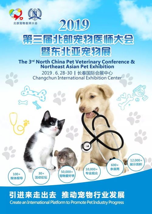 “宠物运动宝典,健康快乐养宠秘籍!”