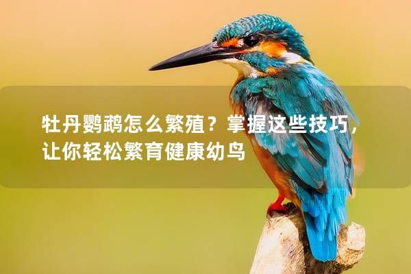 牡丹鹦鹉怎么繁殖？掌握这些技巧，让你轻松繁育健康幼鸟
