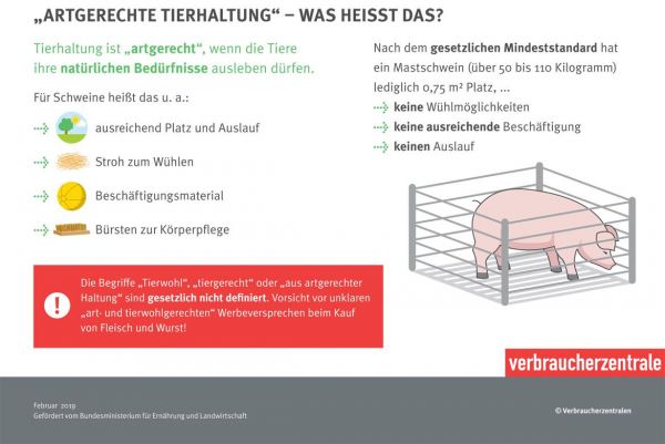Die‍ artgerechte ⁣Haltung von Reptilien: Worauf ‍ist zu achten?