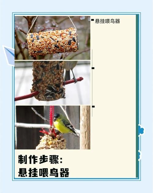 鸟食怎么做