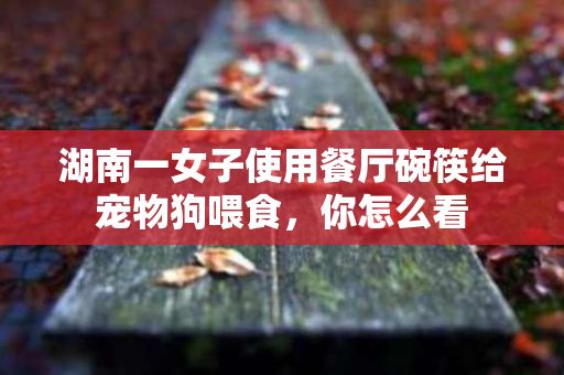 湖南一女子使用餐厅碗筷给宠物狗喂食，你怎么看