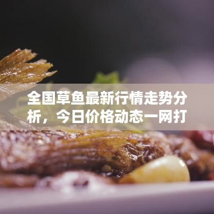 全国草鱼最新行情走势分析，今日价格动态一网打尽