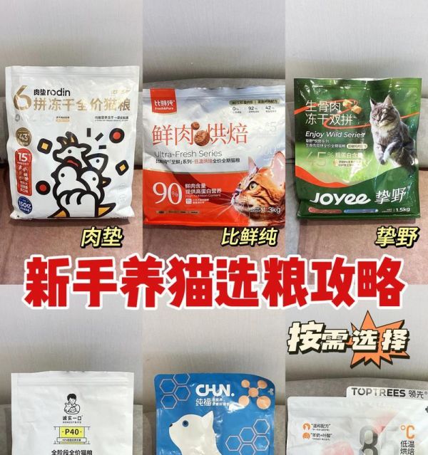 成年猫咪的猫粮选择标准是什么？推荐品牌有哪些？