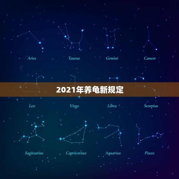 2021年养龟新规定，养龟的六大忌是？ 第1张