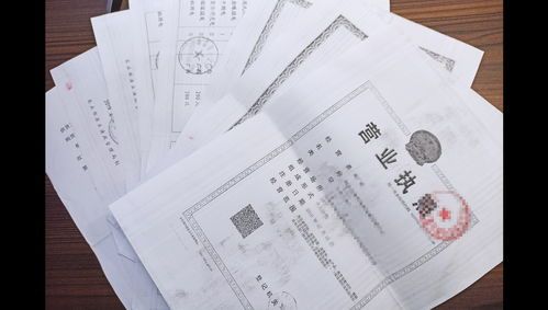 养龟宠物，合法合规！
