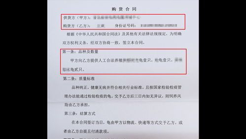 养龟宠物，合法合规！
