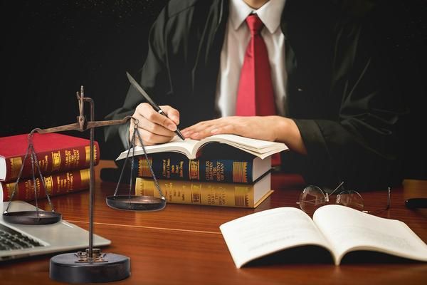 养一条宠物鳄龟犯法吗？法律解读与责任分析 图1